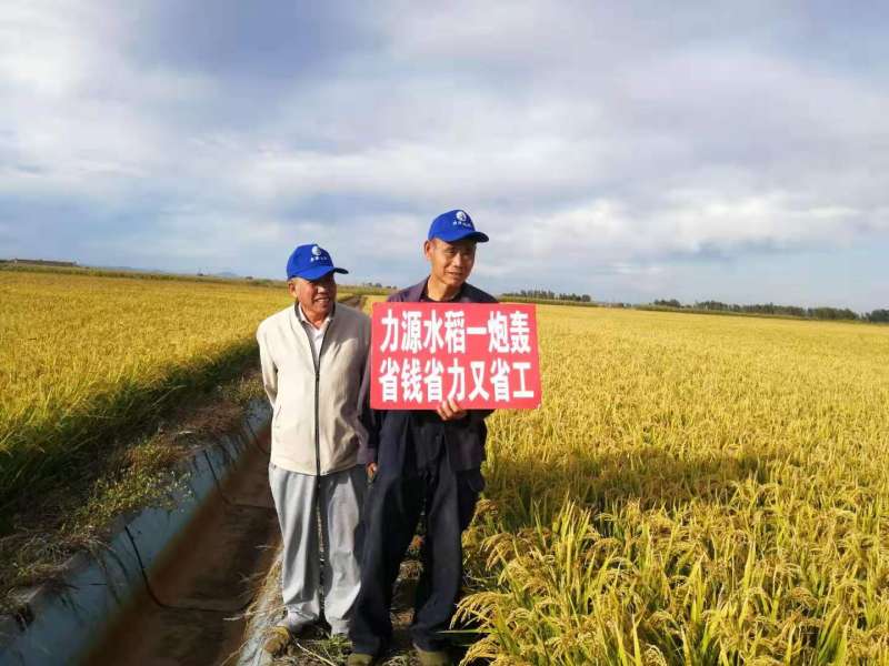 &#38886;&#24503;&#32593;&#31449;&#45;&#40;&#20013;&#22269;&#41;&#26377;&#38480;&#36131;&#20219;&#38886;&#24503;&#32593;&#31449;